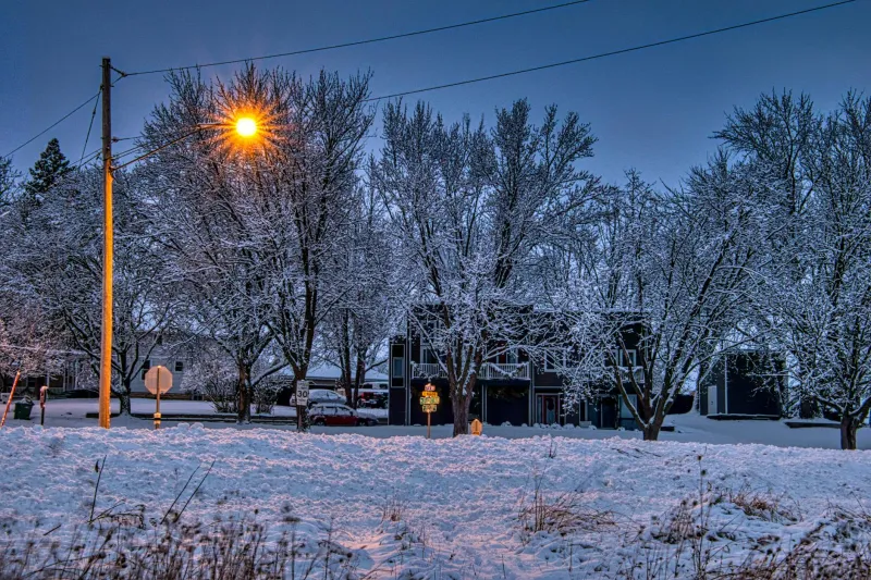 Free Land, No Strings Attached — The Wild American Experiment That Actually Worked