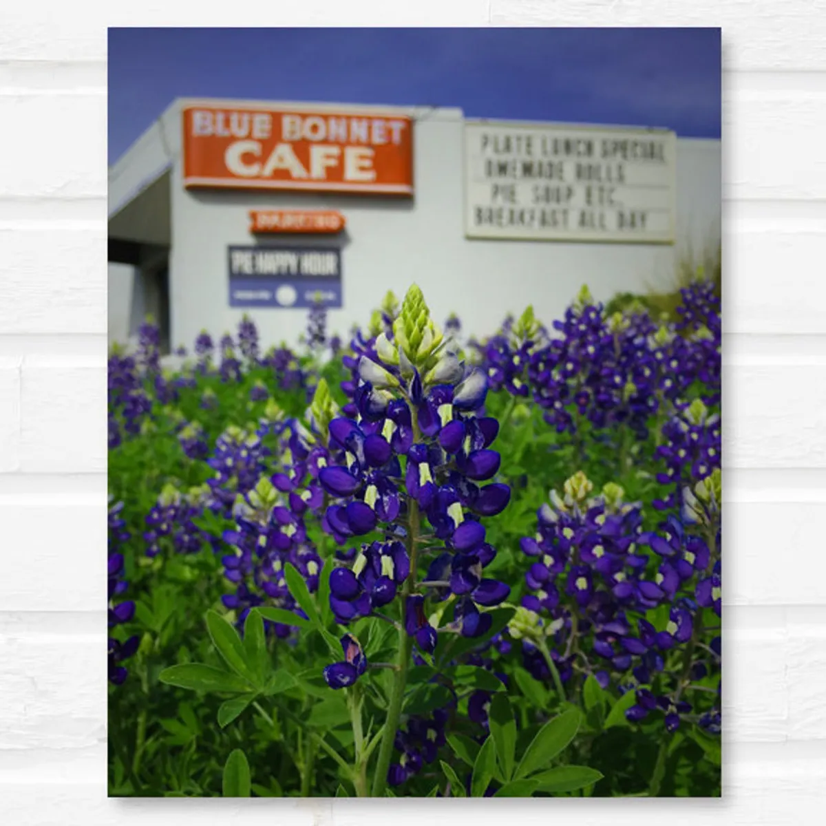 Bluebonnet Cafe