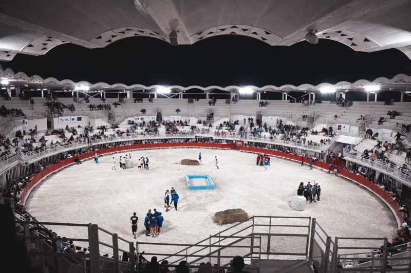 The Sport America Was Obsessed With — Then Completely Forgot It Ever Existed
