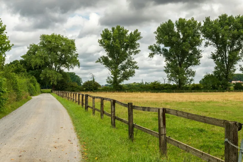 The Secret Language of American Fences: What Your Neighbors' Property Lines Revealed About Everything